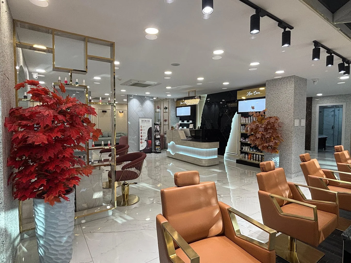Salon Experience 4
